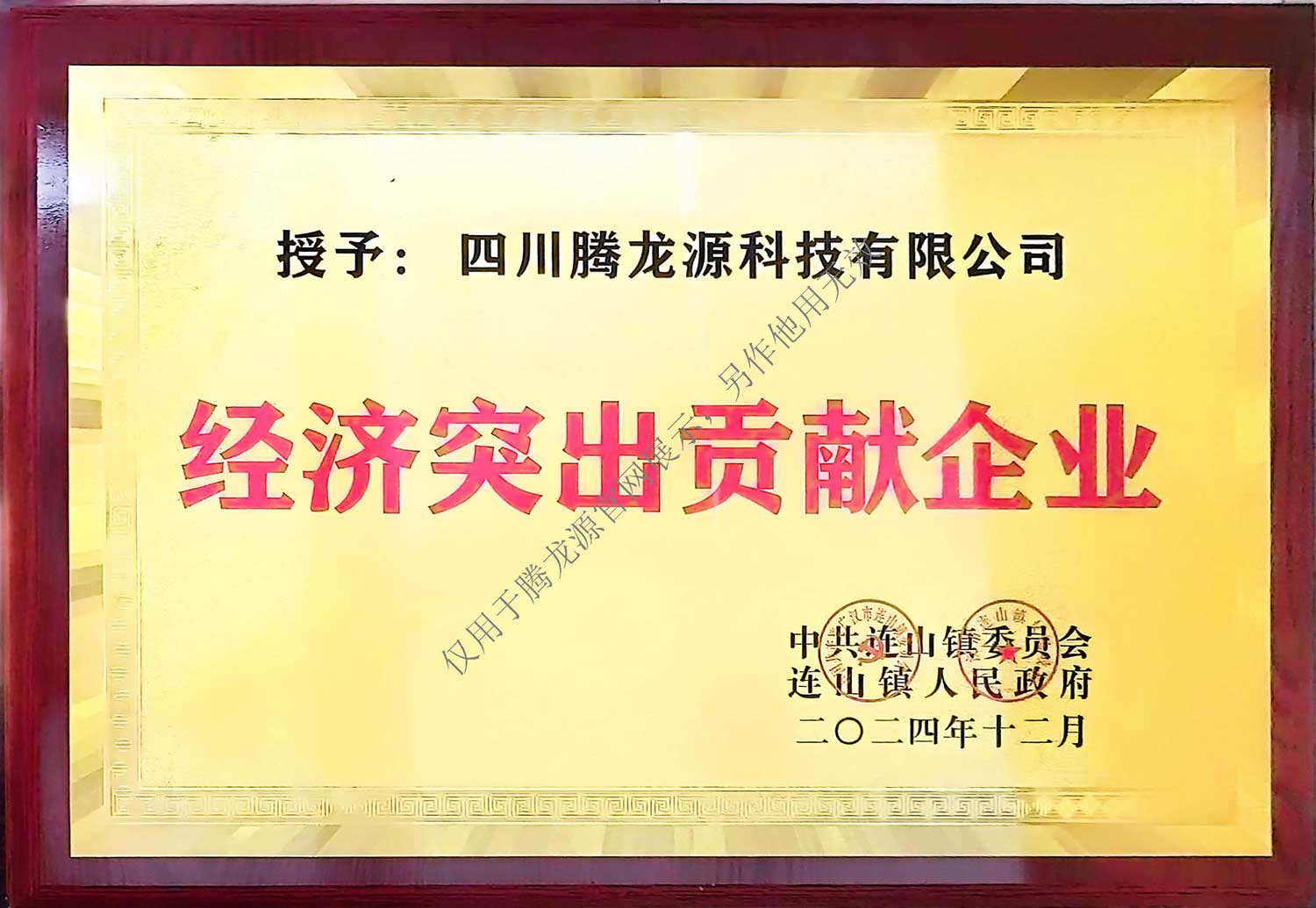 经济突出贡献企业